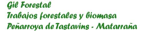 Gil Forestal